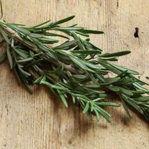 Herbs