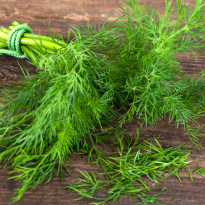 Dill