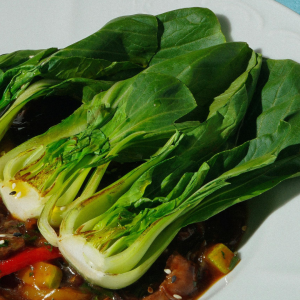 Bok Choy Chinese Cabbage