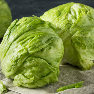 Green Sweet Crisp Lettuce