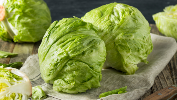 Green Sweet Crisp Lettuce