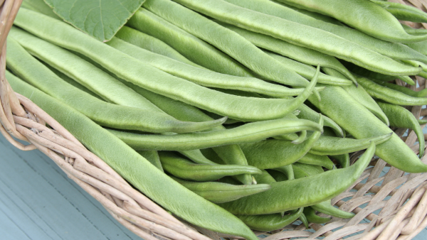 Pole Beans